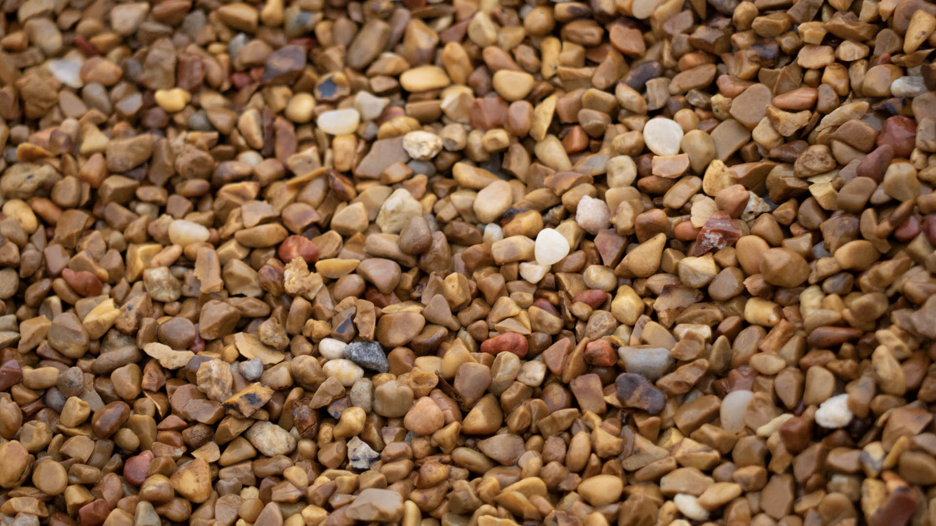 Oversized Gravel - Large decorative stone